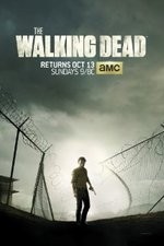 Watch Megashare9 The Walking Dead Online